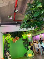 -恐龙探索乐园(磁器口店)