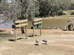 -威勒比开放式动物园