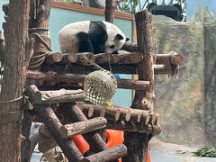 -青藏高原野生动物园