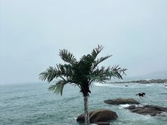 -Vanillacafe香草咖啡(银海大世界店)