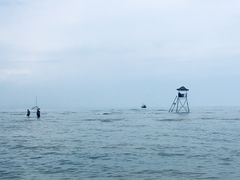 景点-鸽子窝公园