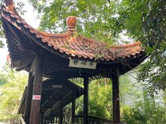 -赭山公园