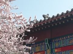 -桃花堤公园