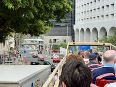 -Big Bus Tours 敞篷观光巴士
