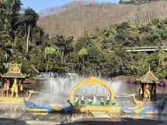 -西双版纳原始森林公园