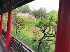 -南汇桃花村
