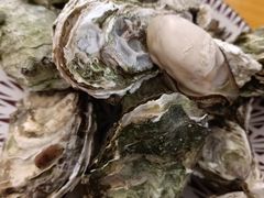 清蒸生蚝-孙记海鲜砂锅菜(拾味nice店)