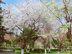 -山东大学(洪家楼校区)
