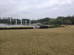 -东莞市大岭山森林公园