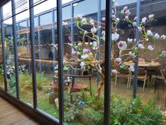 -拈菜(观音桥阳光世纪店)