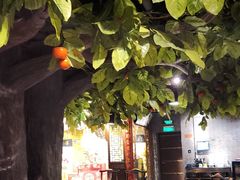 -四世同堂·京菜·烤鸭(双井店)