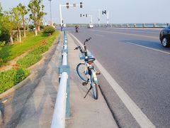 -合肥滨湖国家森林公园