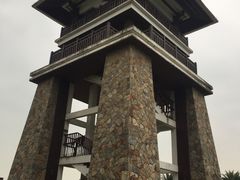 -大湾区中央湿地公园