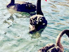 -水磨沟公园