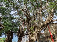 -烟桥私房菜馆(奋哥)