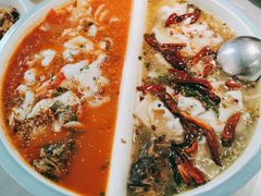 -姚姚酸菜鱼·金戈戈香港豉油鸡(喜荟城联名店)