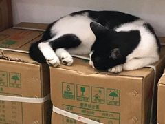 -正南齐北·老街糯米团(洪崖洞店)
