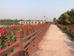 -绿堤公园
