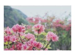 -乌石村