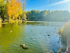 -三忘湖 SWANSEEN(柳荫公园店)