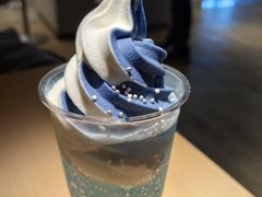 -大阪海游馆