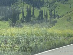-新疆那拉提国家旅游度假区