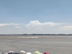 -观潮胜地公园