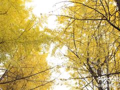 -四川大学(望江校区)
