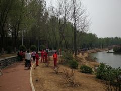 -丁香湖公园