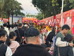 -风云岭森林公园