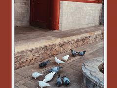 -潭柘寺景区
