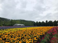 -富田农场