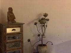 -悦哉·派对·草坪婚礼·围炉煮茶(三圣乡店)