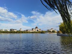 -莲花池公园