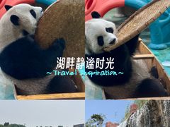 -五龙山野生动物王国