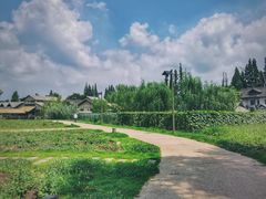 -乌村