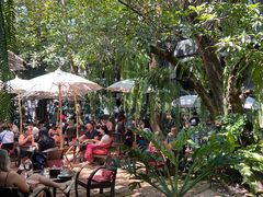 -Fern Forest Cafe
