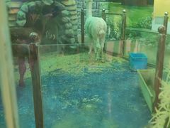 -太奥幻太奇海洋馆