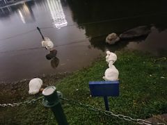 -上海宝华万豪酒店