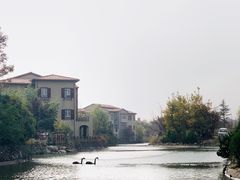 -芭东小镇温泉
