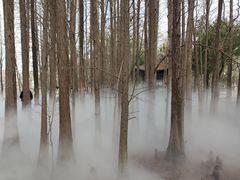 -东湖落雁景区