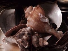 船奇.蒸汽海鲜-船奇蒸汽海鲜·闽菜(八市海鲜总店)