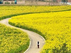 -中国天府农业博览园