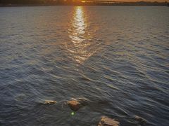 -丁香湖公园