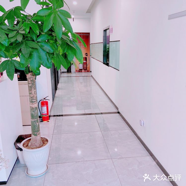 修丽可AGE抗糖面霜和HR黑绷带谁更能抗?