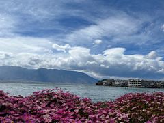 -大理洱海