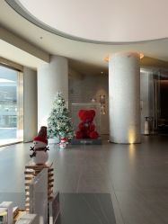 -VELEE·SPA高定疗愈会所