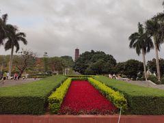 -红花山公园