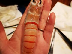 新西兰鳌虾-Mr·Fish鱼鲜生海鲜放题(银泰in99店)