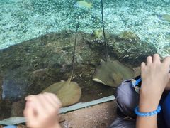 -广州海洋馆